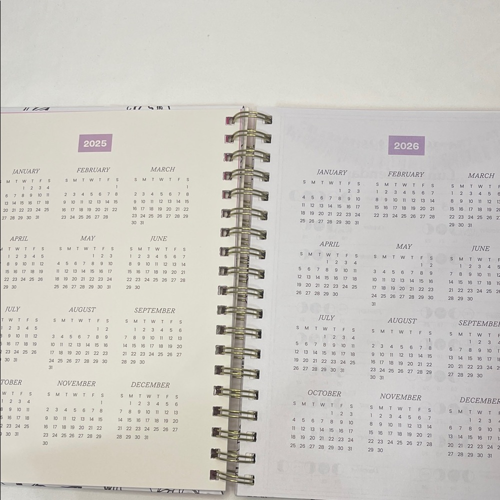 Betsey Johnson Pink and White Floral 2025 - 2026 Planner with Pen - Picture 11 of 16